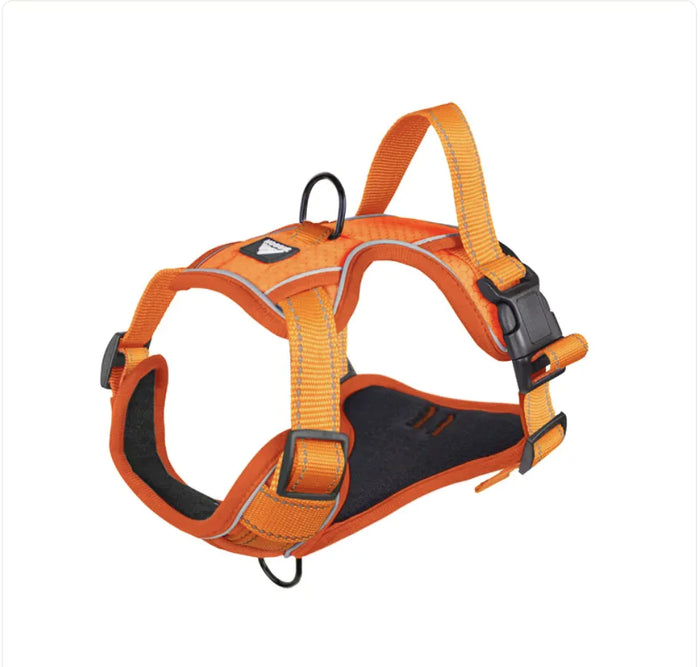 Reflective Dog Harness with Leash